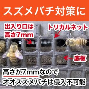 新型鉄製台 【重箱式巣箱専用】の詳細画像2