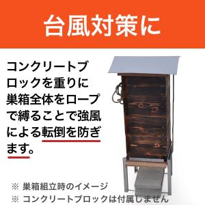 新型鉄製台 【重箱式巣箱専用】の詳細画像3