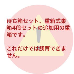 重箱2つセットの詳細画像2