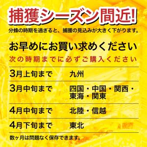 待ち箱ルアーで始める!週末養蜂スタートキットの詳細画像5
