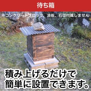 待ち箱ルアーで始める!週末養蜂スタートキットの詳細画像1