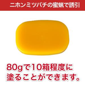待ち箱ルアーで始める!週末養蜂スタートキット ...の詳細画像4