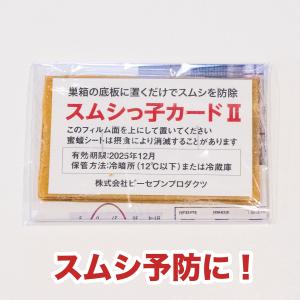 スムシっ子カードII 1セットの商品画像