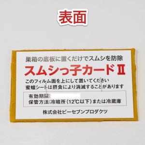 スムシっ子カードII 1セットの詳細画像1