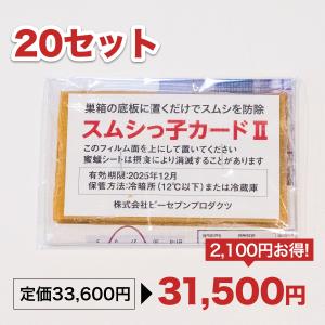 スムシっ子カードII 20セット｜syumatsuyoho