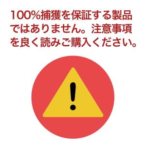 待ち箱ルアー(30個セット)の詳細画像3
