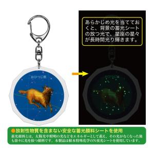 スーパー夜光!天体キーホルダー 12星座シリー...の詳細画像1