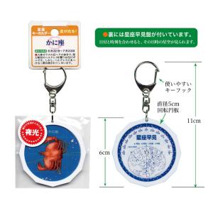 スーパー夜光!天体キーホルダー 12星座シリー...の詳細画像4