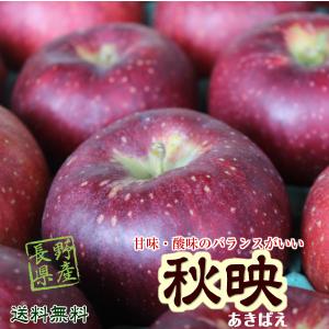 りんご 送料無料 信州産 秋映 約５kg（12-20玉）