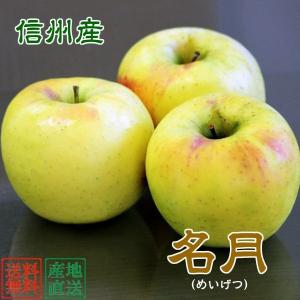 信州産 りんご 名月 約５kg (１１玉〜２０玉) 送料無料 でお届けします。