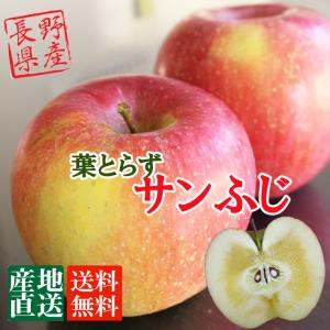 信州産 りんご 葉とらず サンふじ 約5kg（12-18玉）　送料無料 完熟 リンゴをお届けします。