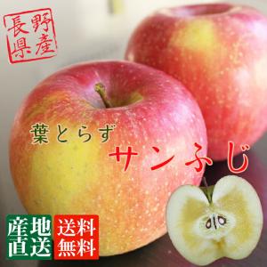 信州産 りんご 葉とらず サンふじ 約10kg（24-32玉）送料無料 完熟 リンゴをお届けします。