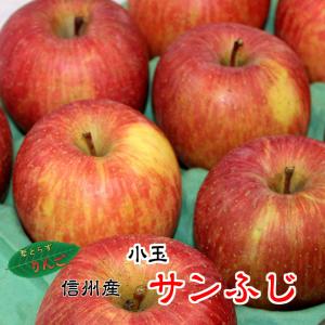 信州産 りんご 葉とらず サンふじ 10kg 『小玉』（４０-４６玉） 安心安全 是非皮ごと食べてください。