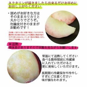 信州産 スイートネクタリン(晶光) 約2kg ...の詳細画像2