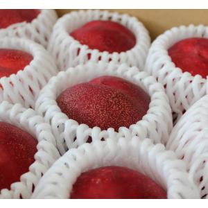 信州産 スイートネクタリン(晶光) 約2kg ...の詳細画像3