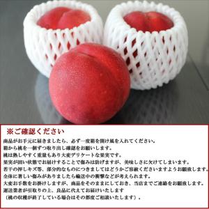 信州産 スイートネクタリン(晶光) 約2kg ...の詳細画像4