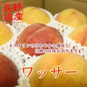 長野県産 ワッサー 約2kg 送料無料 桃 希少品種