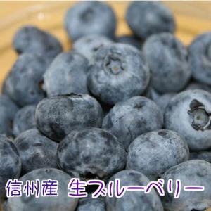 長野県産 訳あり 生ブルーベリー 不揃い １００ｇ×６Ｐ 送料無料
