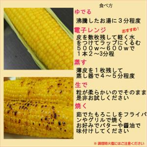 長野県 信濃町産 高原とうもろこし 朝採り 甘...の詳細画像2