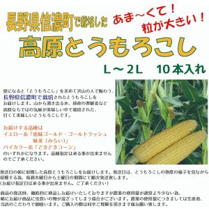 長野県 信濃町産 高原とうもろこし 朝採り 甘...の詳細画像3