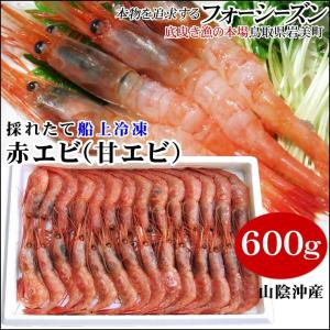 船上冷凍 甘エビ 大中サイズ 600gセット 冷凍 1配送先で3セット以上ご購入で送料サービス 赤エビ あまえび