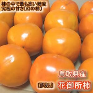 不揃いの花御所柿 訳あり １０ｋｇ へたすき 送料無料 鳥取県特産品 常温 大中小混じり