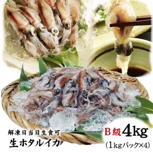 生ホタルイカ4ｋｇ冷凍 2023年 春獲れ新物 Ｂ級 山陰沖産