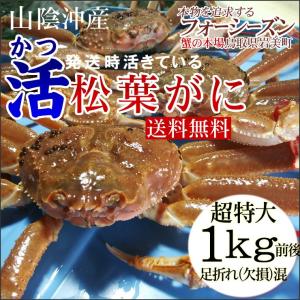 カニ かに 蟹 特産品 名物商品 予約販売  発送時に活きている 活松葉がに 訳あり 足折れ混じり 超特大　1枚 1kg前後 送料無料