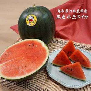 河本農園産 小玉 黒皮スイカ 3-6玉で約8-10キロ程度 訳あり