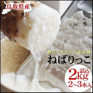 家庭用】ねばりっこ とりたて 10kg程度 長芋 とろろ ねばり 山芋