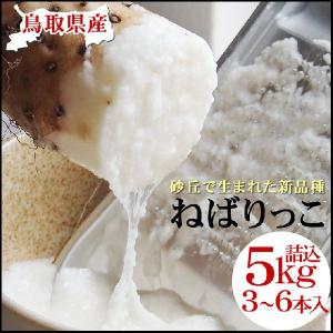 ギフト 特産品 名物商品 ねばりっこ 進物用  3-6本入 約5ｋｇ 送料無料 常温 鳥取県 とろろ...