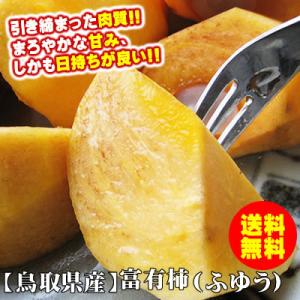 柿 かき 訳あり 富有柿 ふゆうかき ５kgセット 送料無料 鳥取県産 常温｜syun-sakana