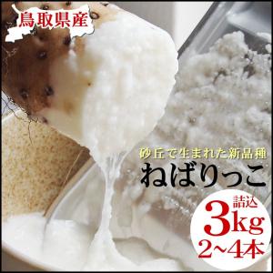 ギフト 特産品 名物商品 新物 ねばりっこ 進物用 2-4本入 約３ｋｇ 送料無料 常温 鳥取県 とろろ 新物