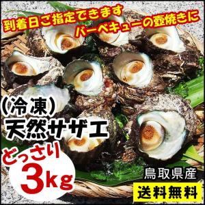 サザエ BBQ バーベキュー  サザエ  冷凍 3ｋｇセット
