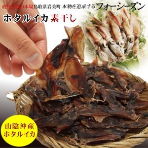 ホタルイカ 素干し 2袋セット 送料無料 常温 メール便 同梱不可 ポイント消化 おつまみ イカ 干物 蛍烏賊　お試し商品サンプル