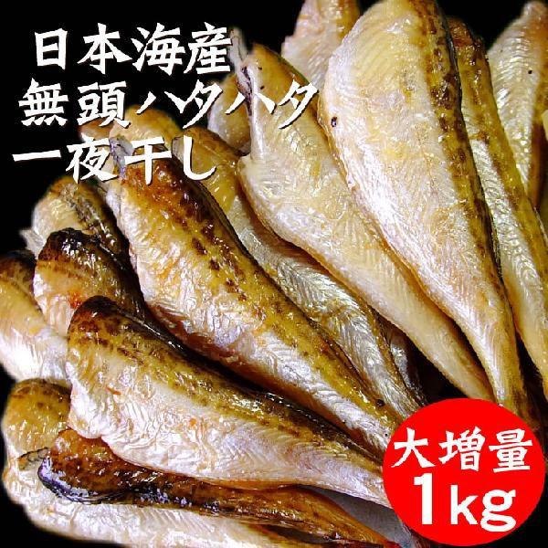送料無料 ハタハタ 一夜干し 無頭 １ｋｇ  日本海産 冷凍 * ハタハタ はたはた 干しはたはた ...