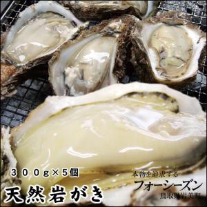 お中元 ギフト カキ　イワガキ　岩ガキ  山陰産 天然岩牡蠣