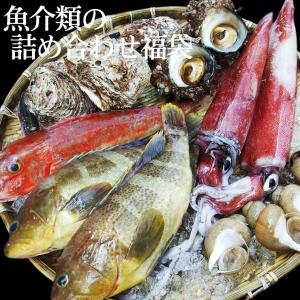 魚介類の詰め合わせセット 魚介類2〜3品程度入    ギフト