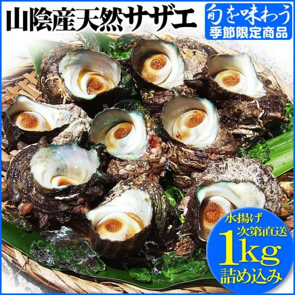 送料無料 天然サザエ どっさり1キロ 詰め込みセット * 大中小混 生  バーベキュー