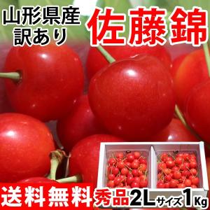 訳あり さくらんぼ 佐藤錦(秀品・2Lサイズ 1kg) 山形産 送料無料 サクランボ 産地直送