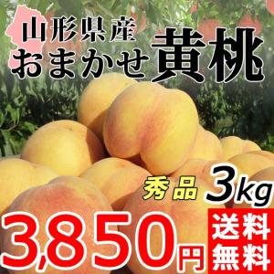 黄桃 3kg 送料無料 秀品 山形県産 桃 もも 黄金桃 産地直送