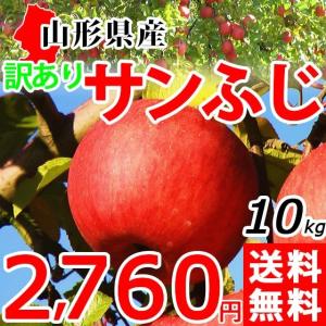 サンふじ りんご 訳あり 10kg 送料無料 山形県産 ご家庭用 産地直送