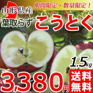 りんご こうとく 送料無料 葉取らず 1.5kg 山形県産 産地直送