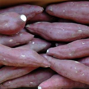 さつまいも 紅あずま 5kg Mサイズ 29年産 送料無...