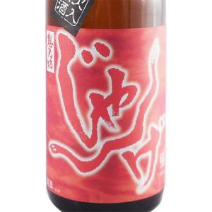 ギフト プレゼント 想天坊 じゃんげ 極辛 火入原酒 1800ml (新潟県/想天坊/日本酒)