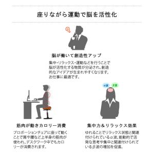 椅子 腰痛対策 姿勢が良くなる 姿勢矯正 体幹...の詳細画像2