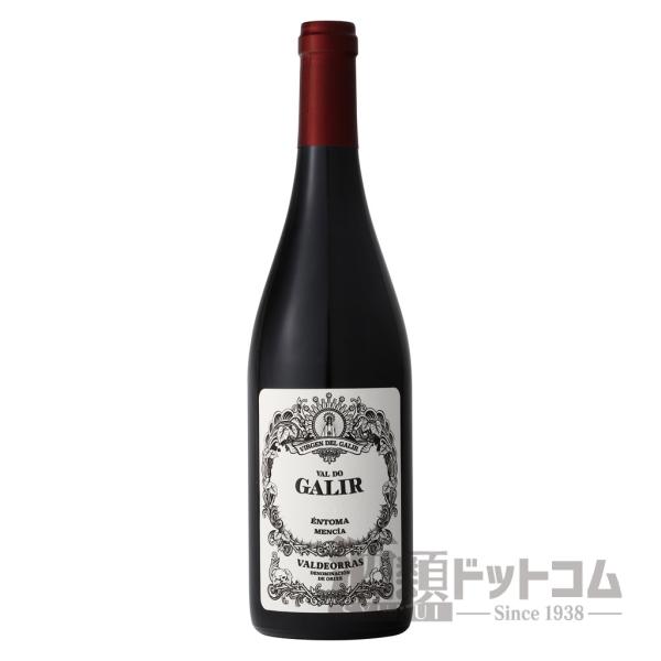 ビルヘン デル ガリル バル ド ガリル メンシア