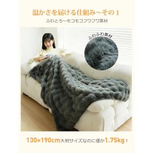 【クーポンで7280円!】電気毛布 掛け敷き ...の詳細画像3