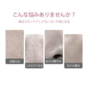 ウォーターピーリング 美顔器 EMS 超音波美...の詳細画像3