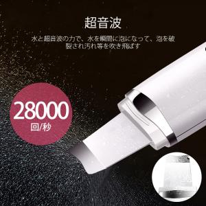 ウォーターピーリング 美顔器 EMS 超音波美...の詳細画像5